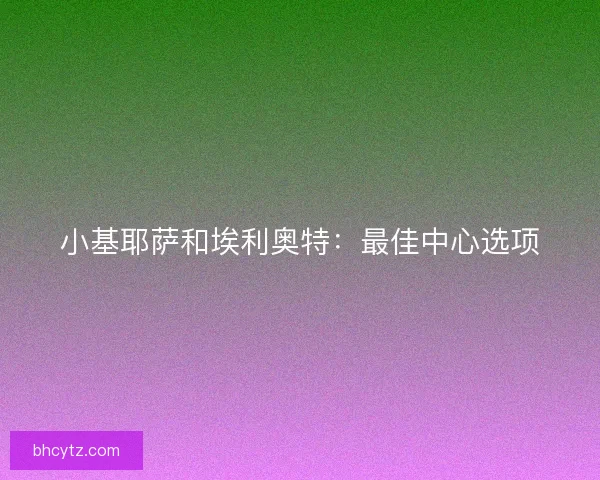 小基耶萨和埃利奥特：最佳中心选项