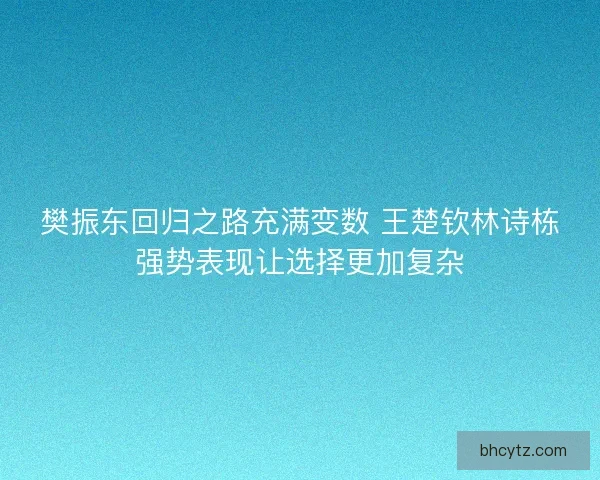 樊振东回归之路充满变数 王楚钦林诗栋强势表现让选择更加复杂