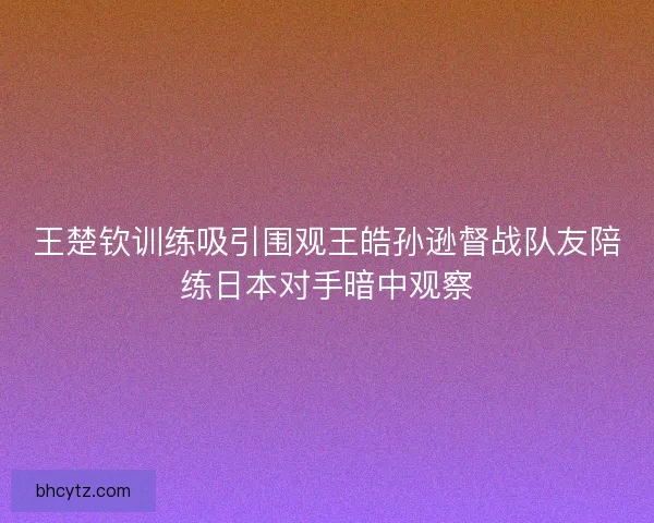 王楚钦训练吸引围观王皓孙逊督战队友陪练日本对手暗中观察
